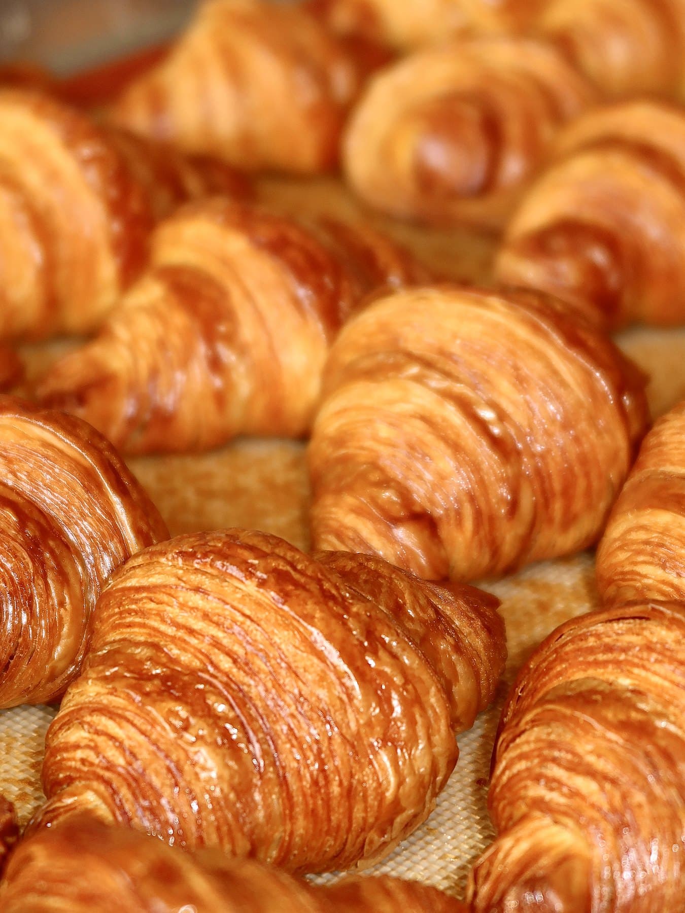 Rows of golden butter croissants fresh out of the oven on a baking tray
